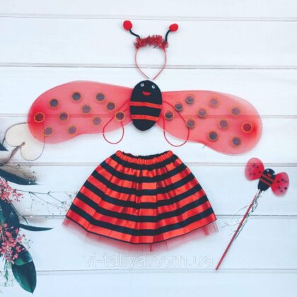 Boružėlės kostiumas