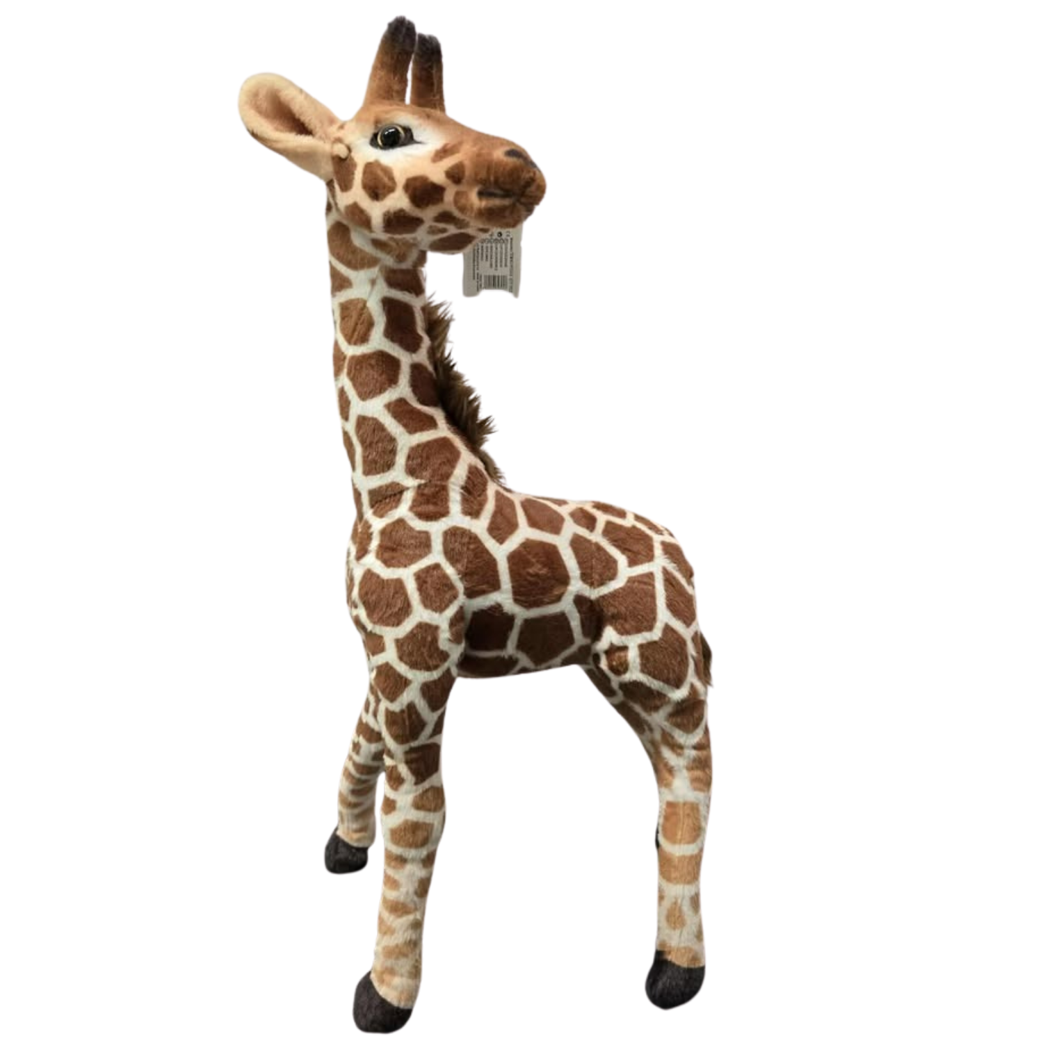 Pliušine žirafa (50 cm) - Image 4
